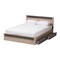 Baxton Studio Jamie Oak and Grey Wood Queen 2-Drawer Queen Size Storage Platform Bed 138-7709-8041 - alternate 7